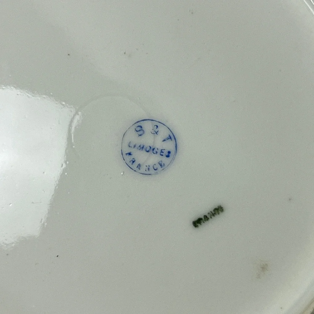 B&T Limoges France Salad Plate 9.75